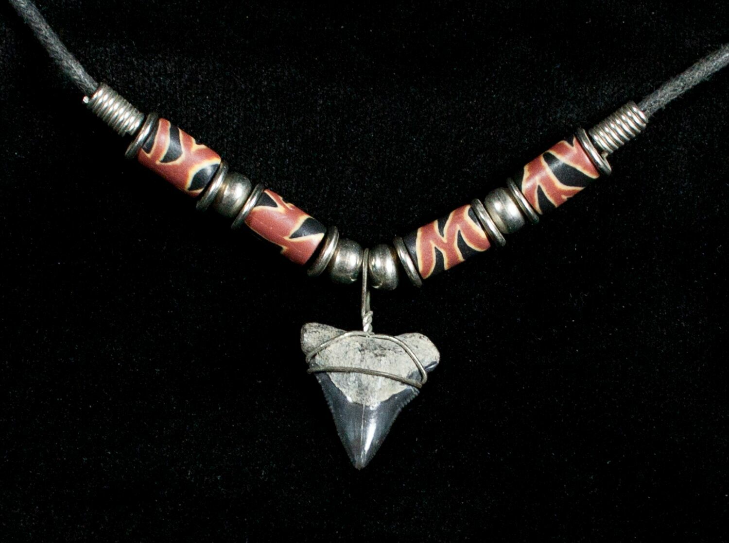 Fossil Bull Shark Tooth Necklace For Sale (#3535) - FossilEra.com