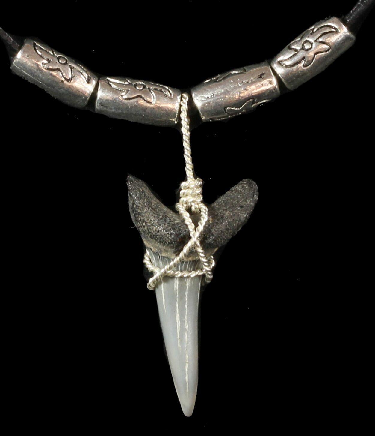 Fossil Sand Tiger Shark Tooth Necklace For Sale 47594 FossilEra