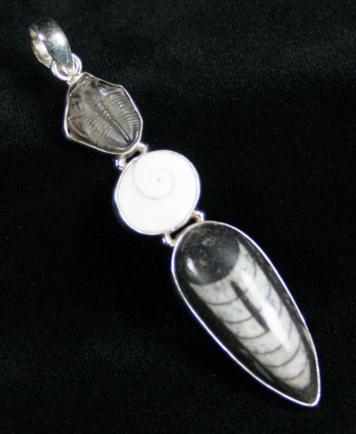 Fossil Orthoceras & Trilobite Pendant Sterling Silver For Sale (7037