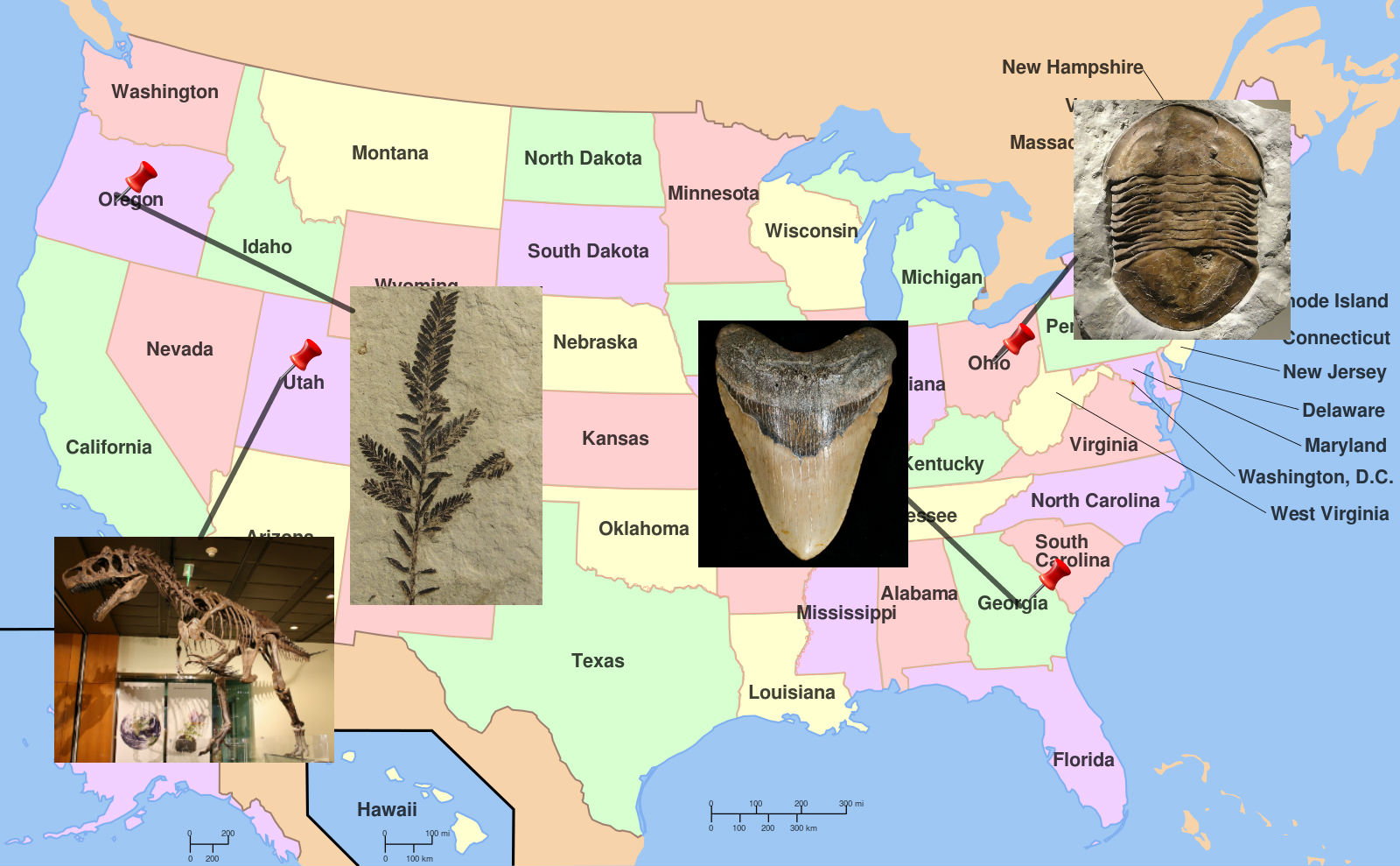 us map of dinosaur fossils