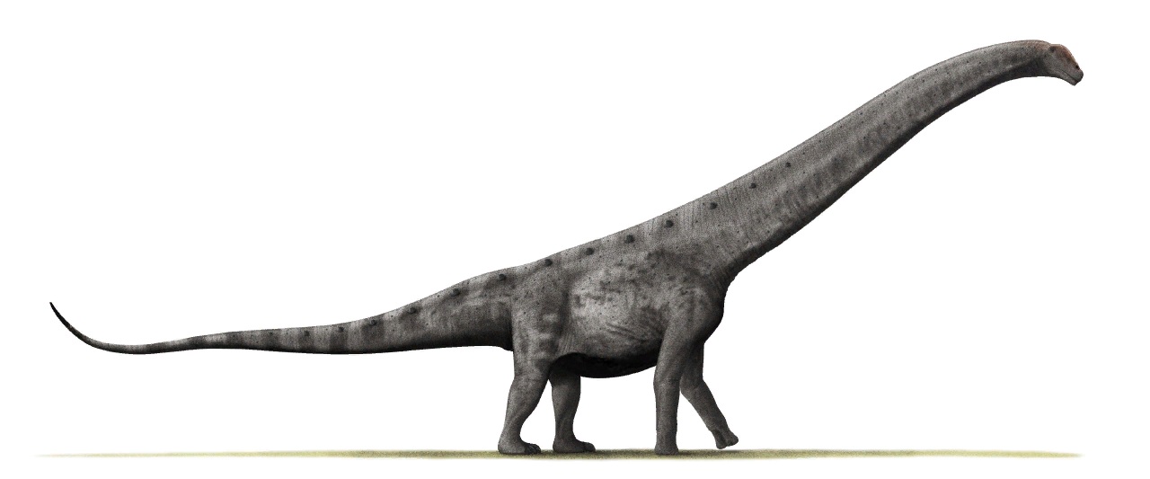 largest prehistoric animal