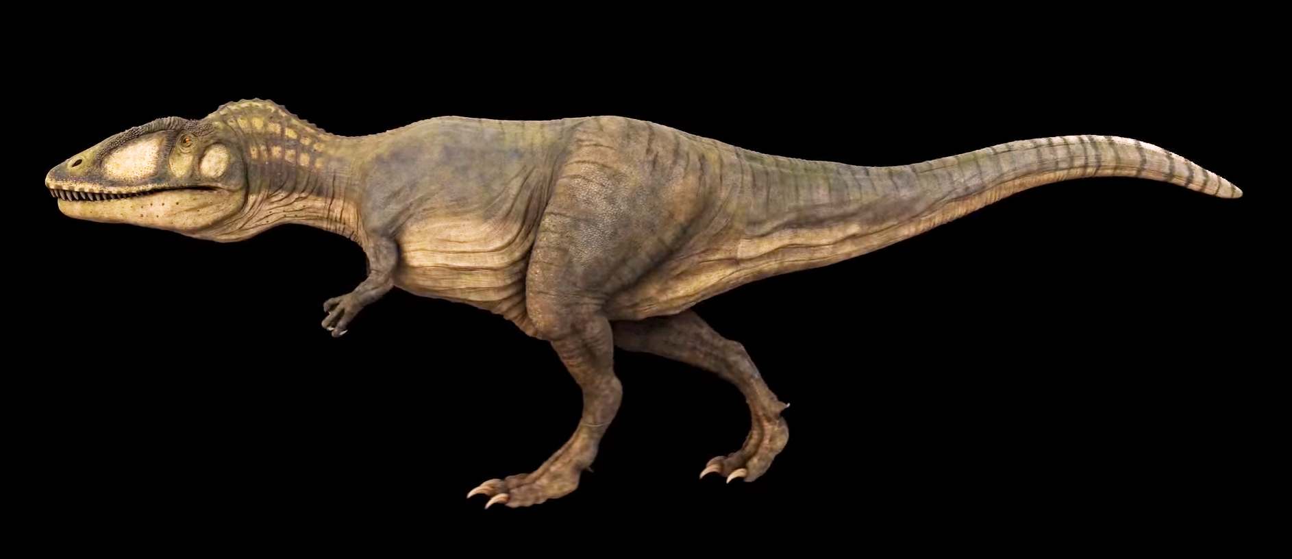 Paleontologist's New Theory for Why T. rex Had Such Ridiculously Short Arms