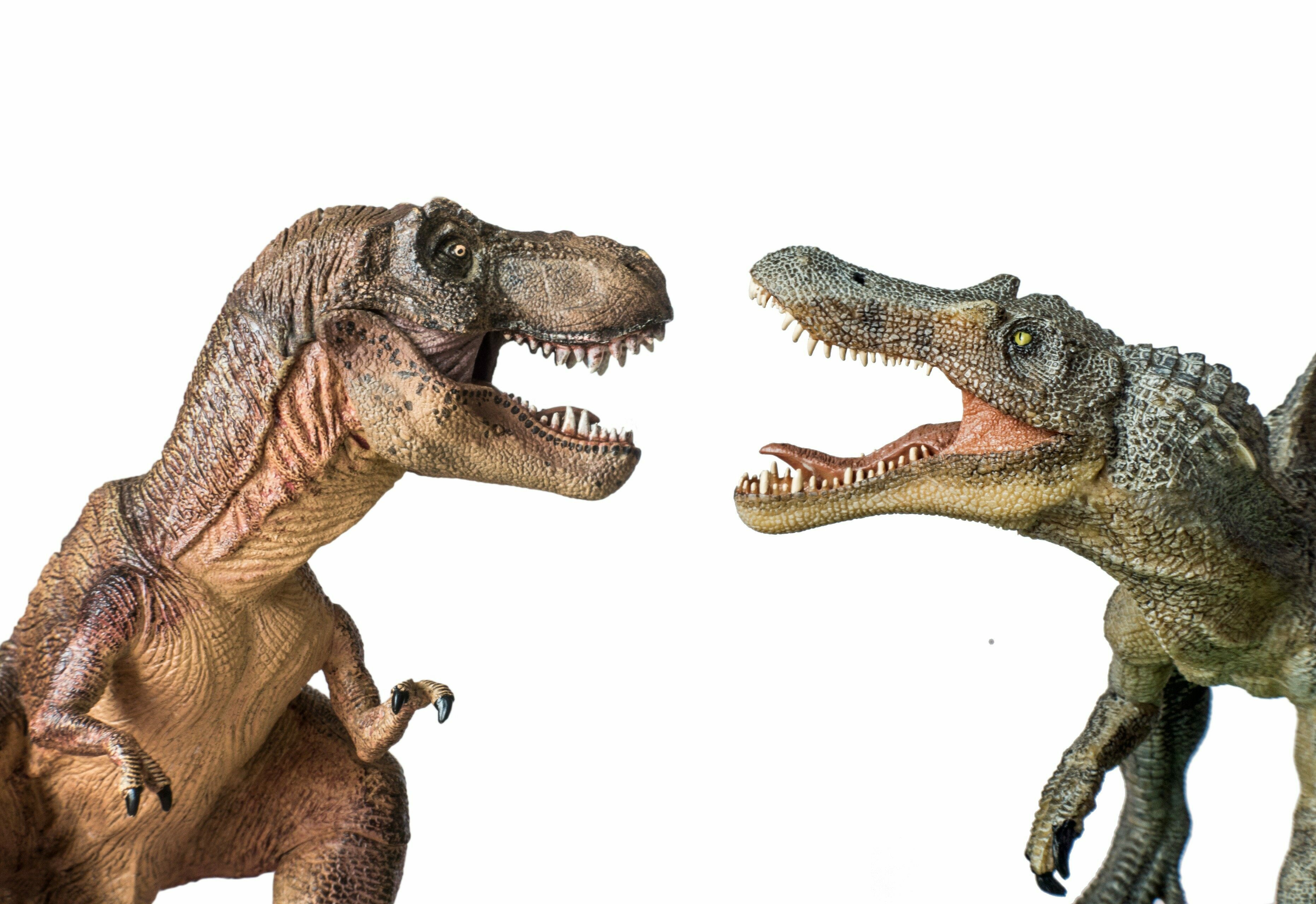 The Ultimate Guide To Tyrannosaurs 