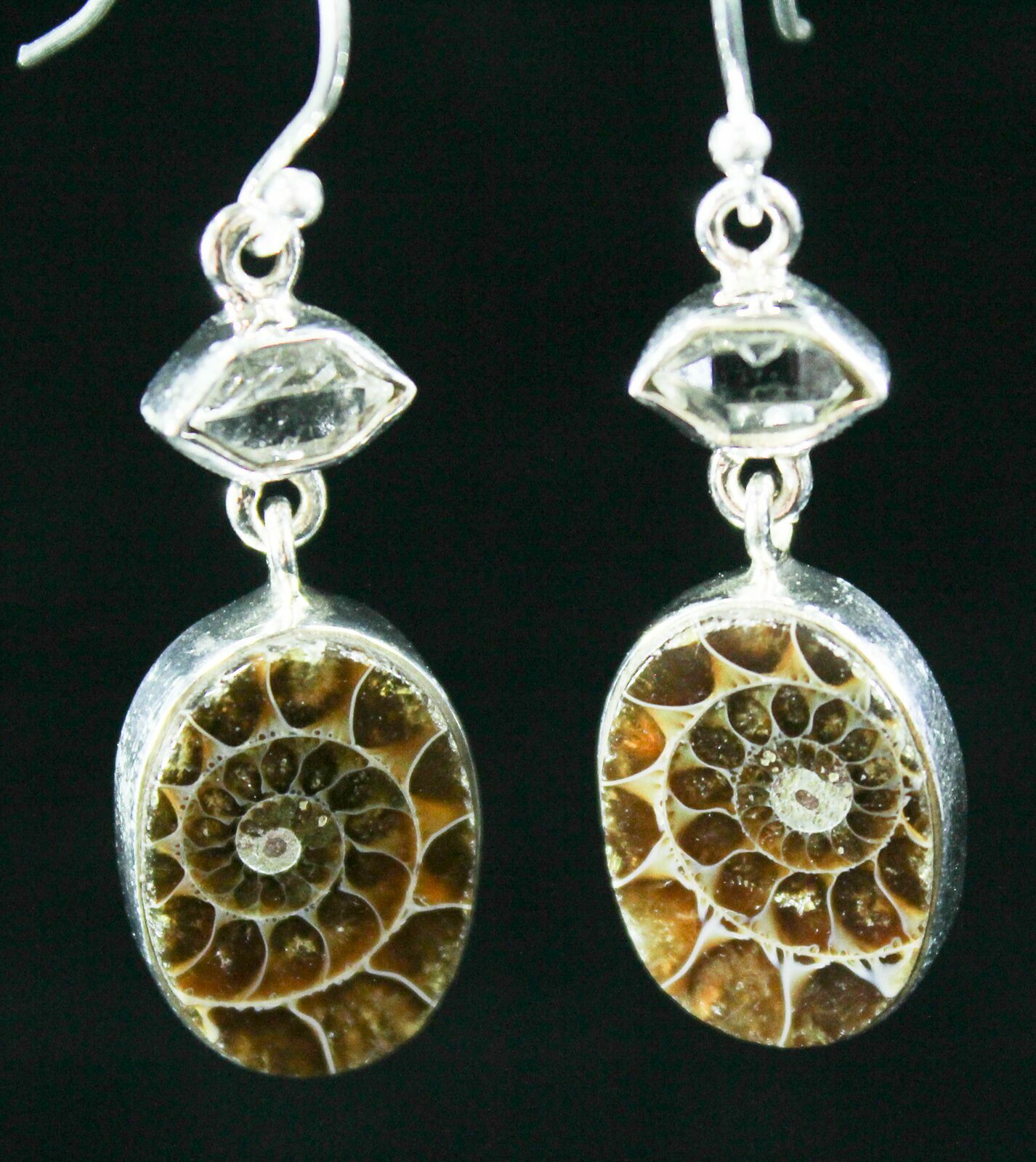 Fossil Ammonite Earrings - Sterling Silver For Sale (#26534 ...