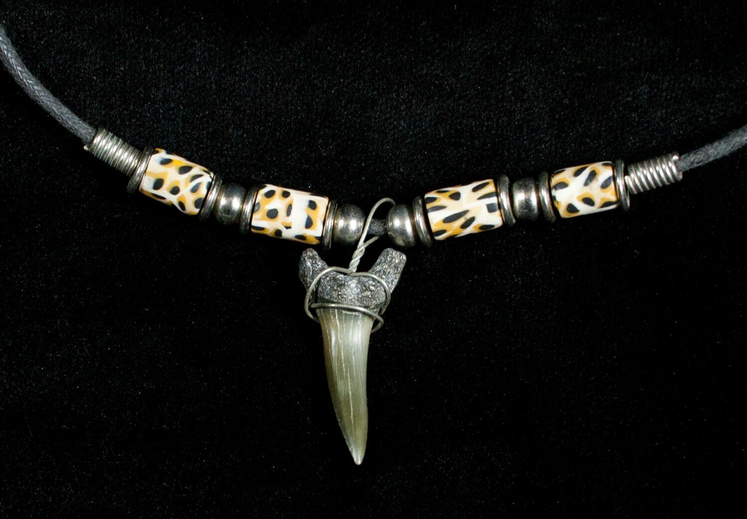 Fossil Sand Tiger Shark Tooth Necklace For Sale (#3539 ...