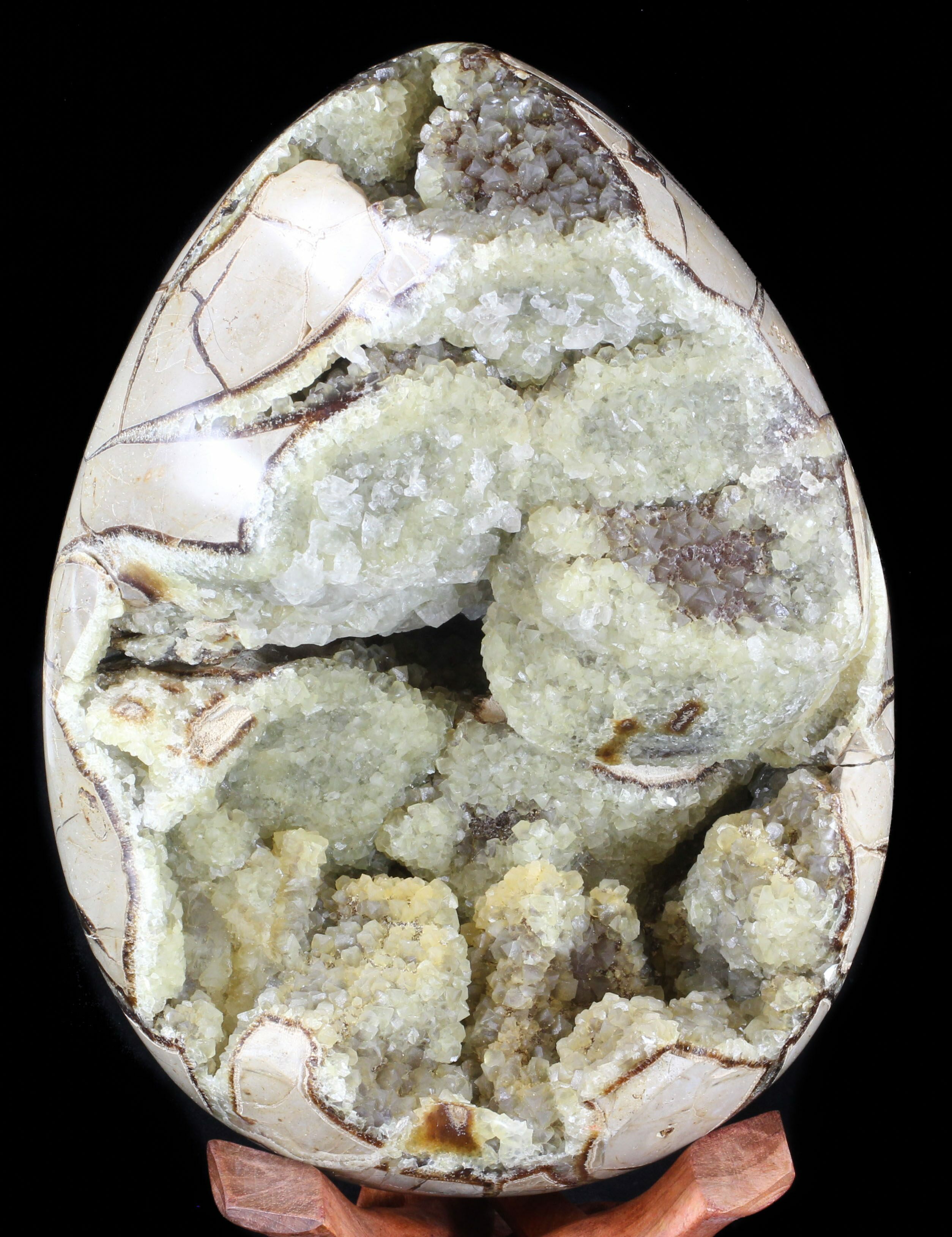 Septarian Dragon Eggs For Sale - FossilEra.com