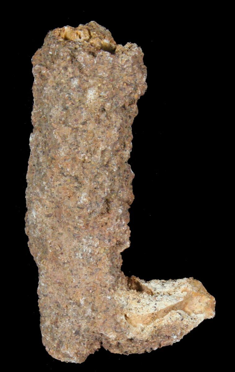 Wholesale Flat - Fulgurites ("Petrified Lightning Strikes") For Sale