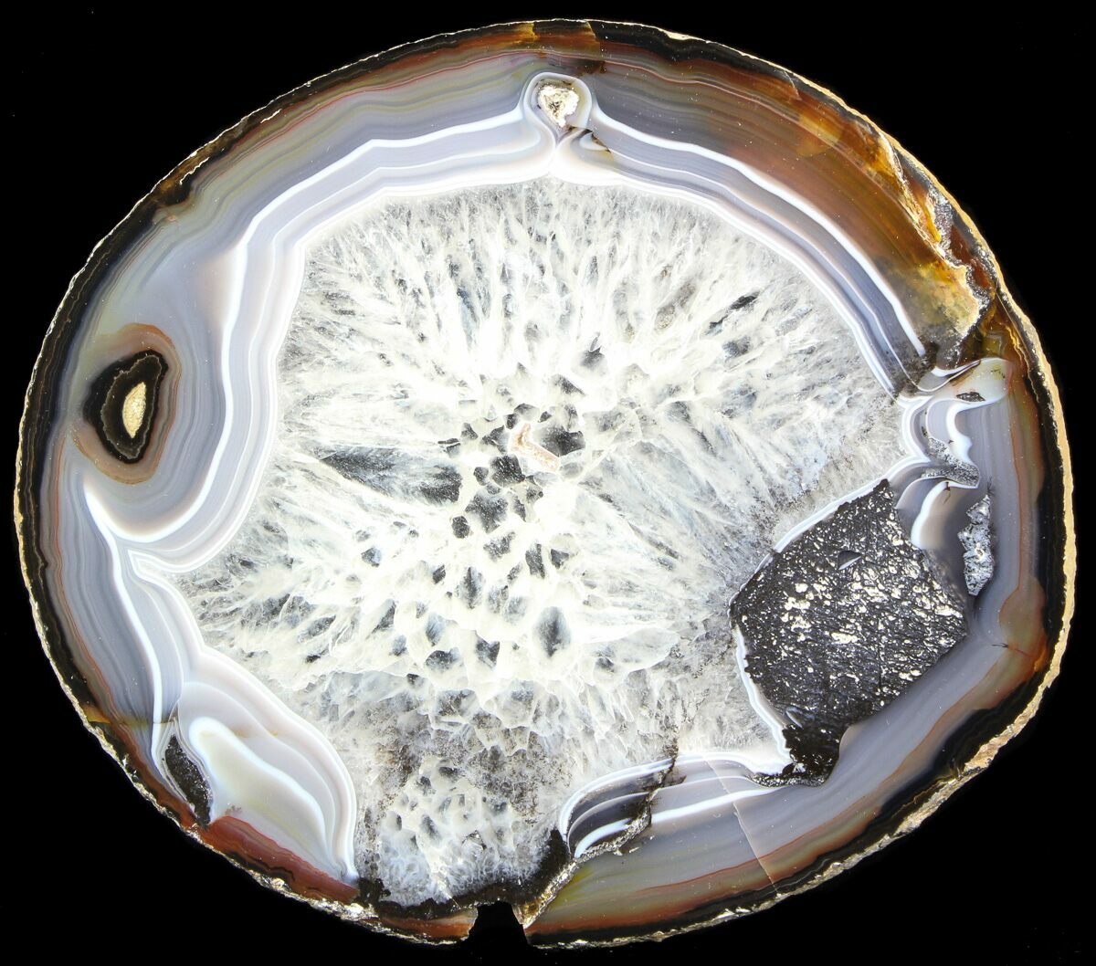 Bargain 7" Polished Brazilian Agate Slice For Sale (#31335) - FossilEra.com