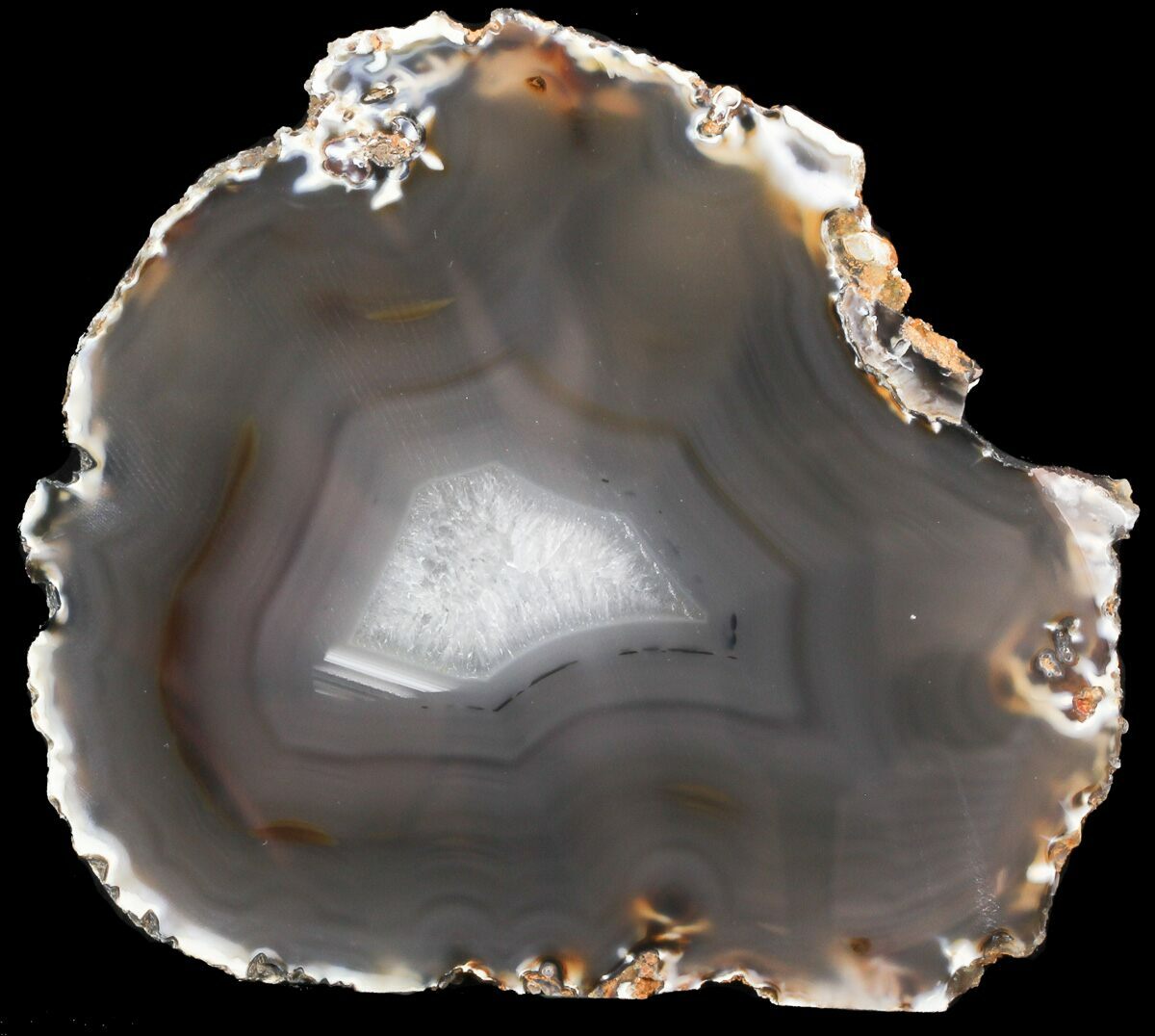 6.3" Polished Brazilian Agate Slice For Sale (#46062) - FossilEra.com