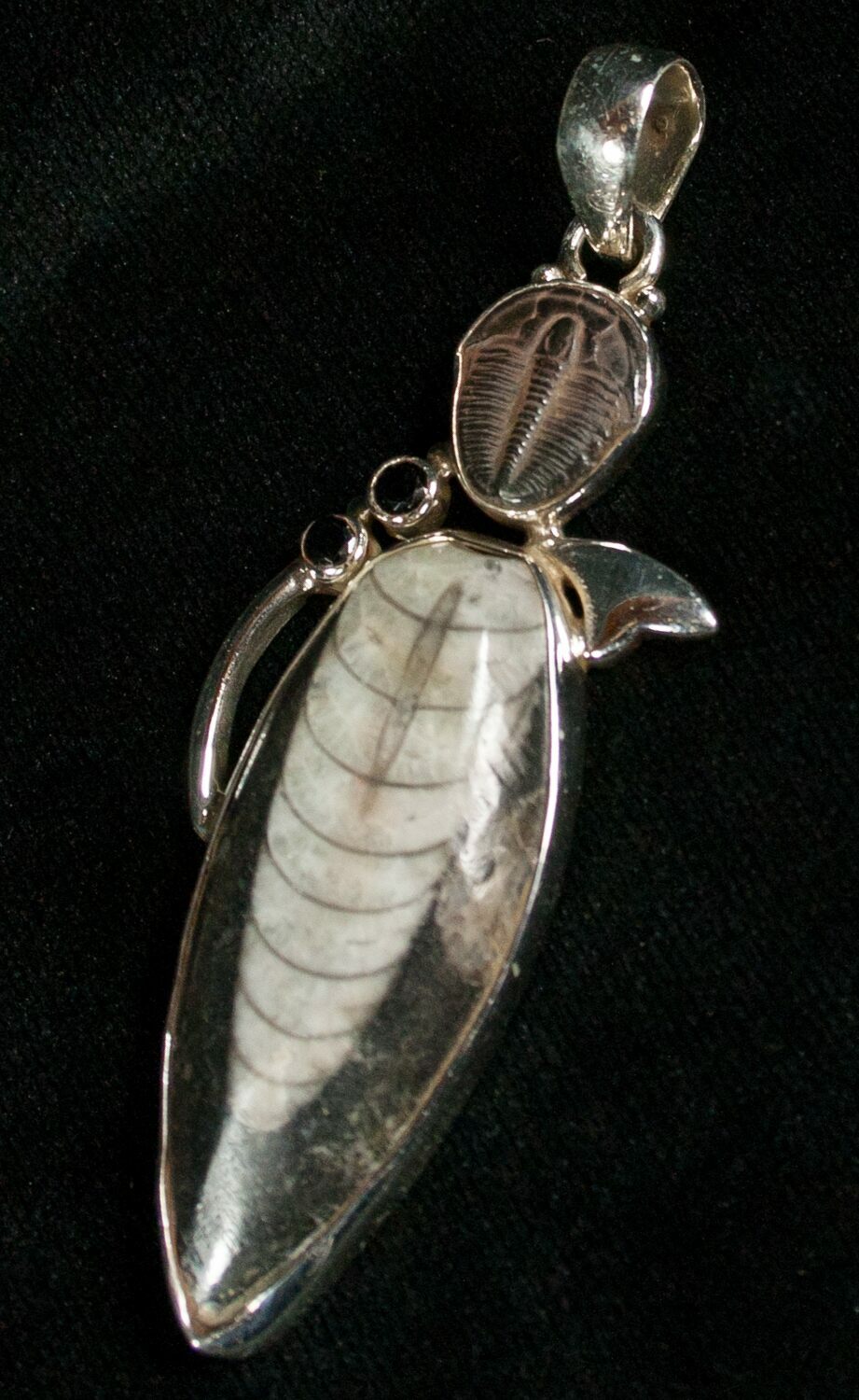 Fossil Orthoceras & Trilobite Pendant - Sterling Silver For Sale (#5576 ...