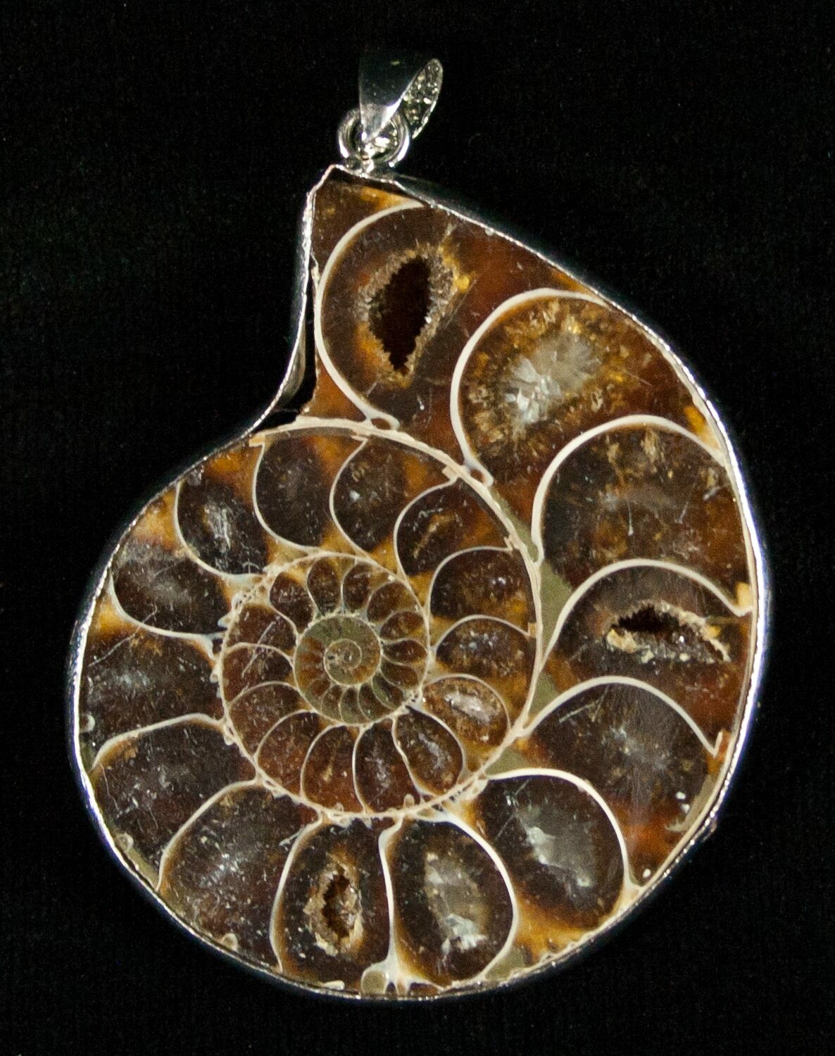 ammonite jewelry