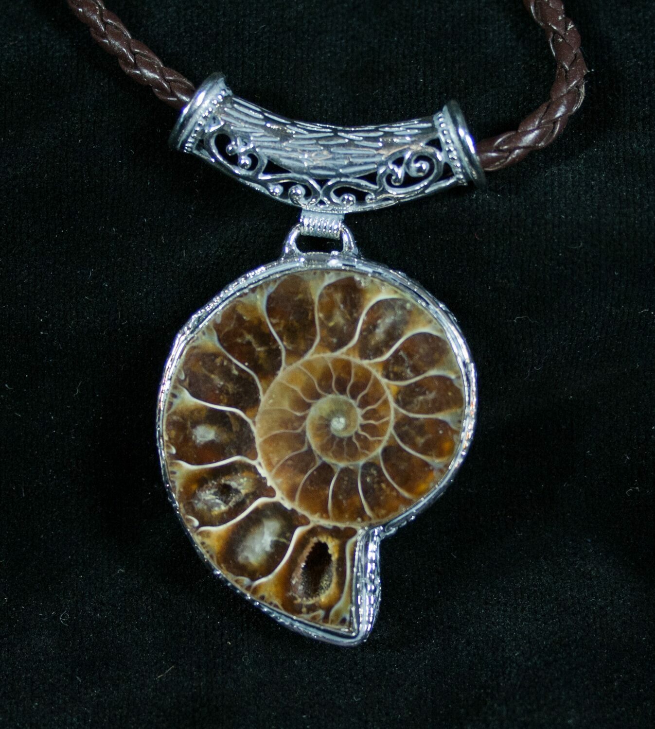 Ammonite Necklace - 110 Million Year Old Fossil For Sale (#7443 ...