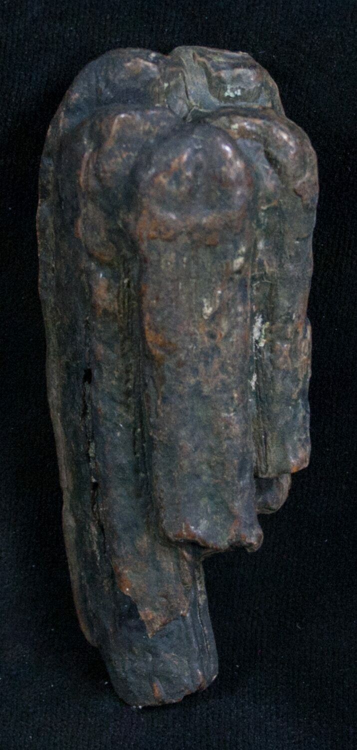 Pleistocene Fossil Horse Tooth Florida For Sale (8230)