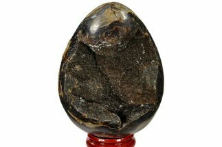 Septarian Dragon Eggs For Sale - Fossilera.com