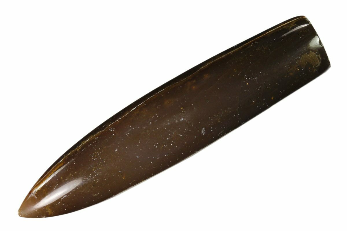 Belemnite & Straight Cephalopod Fossils For Sale