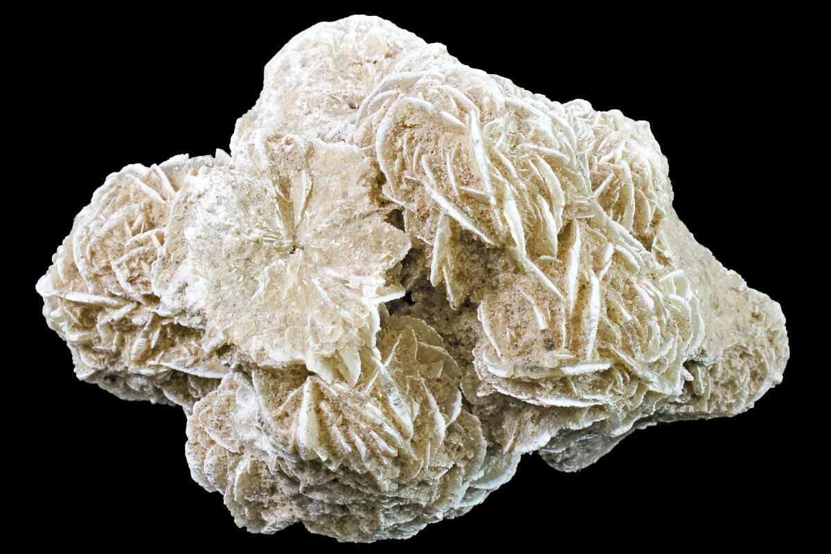 Desert (Selenite) Rose For Sale