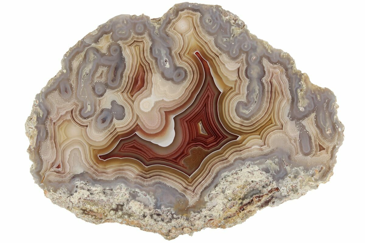 Laguna Agate For Sale - FossilEra.com